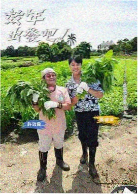 北普陀影视城水巷石桥反射光带观测图
